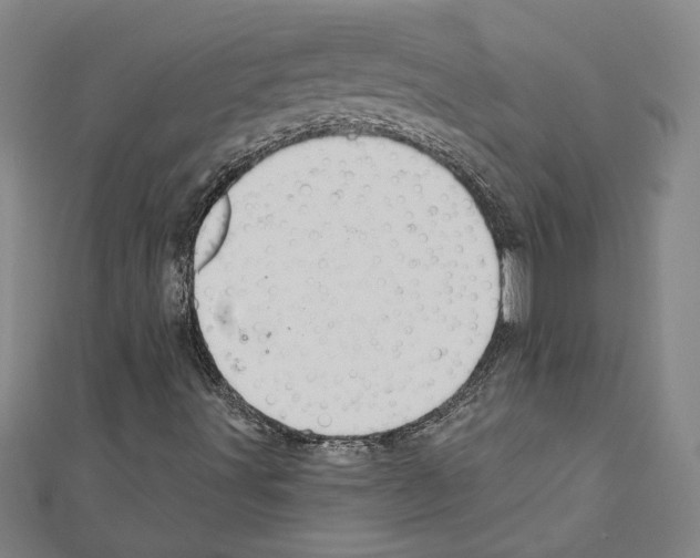 X0000111591491200908270957