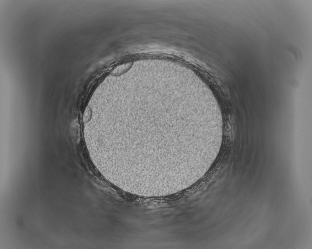 X0000111591493200908270957