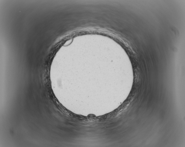 X0000111591494200908270957