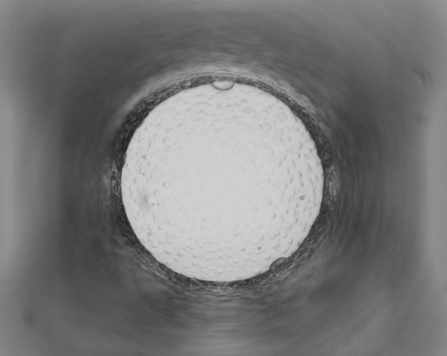 X0000111591495200908270957