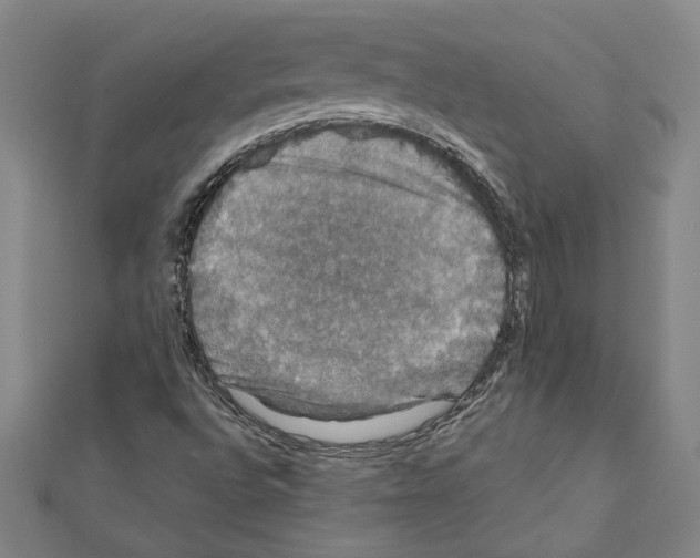 X0000111591496200908270957