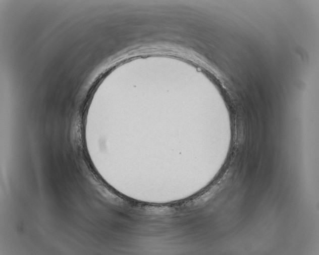 X0000111591498200908270957