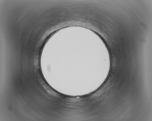 X0000111591499200908270957