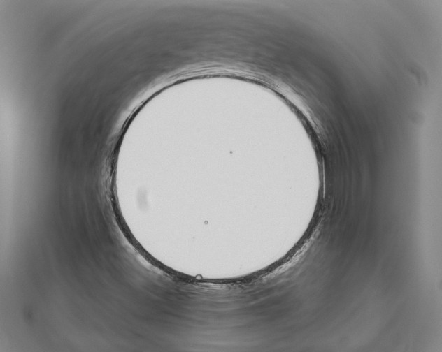 X0000111591500200908270957
