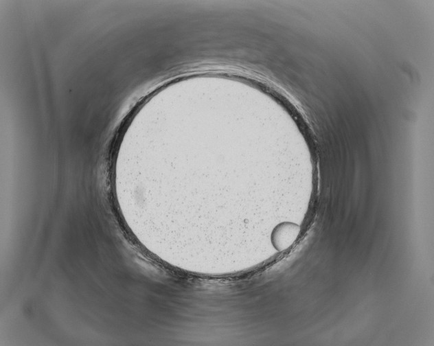 X0000111591501200908270957