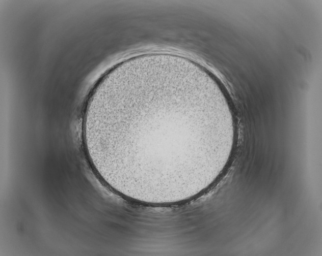 X0000111591503200908270957