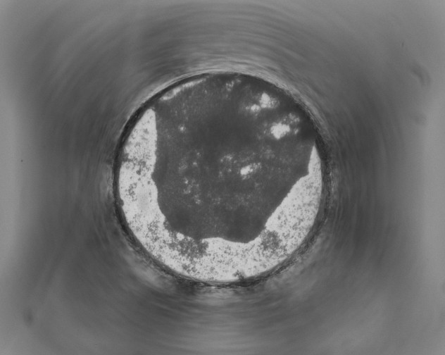 X0000111591505200908270957