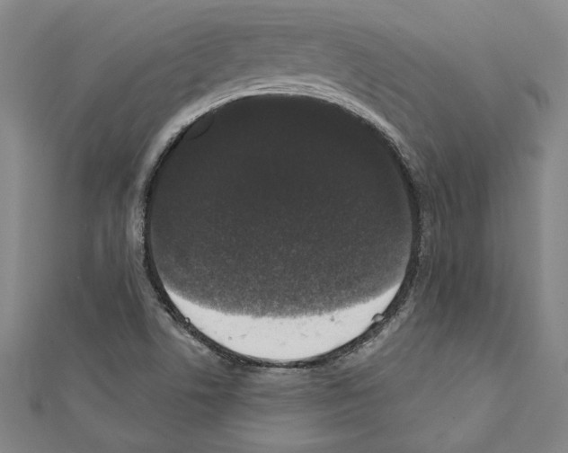 X0000111591506200908270957