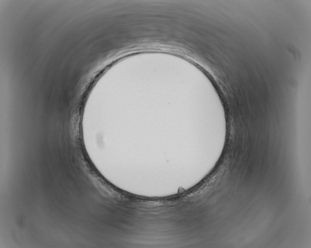 X0000111591507200908270957