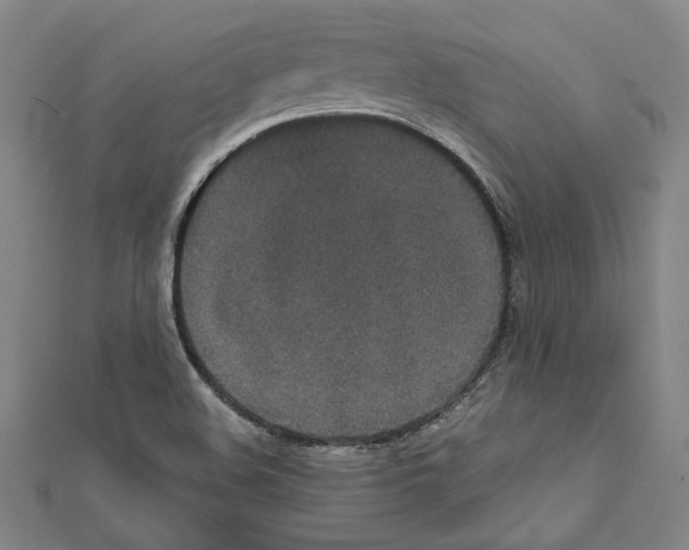 X0000111591508200908270957