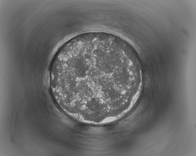 X0000111591509200908270957
