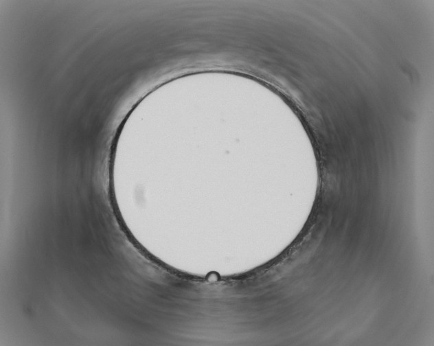X0000111591512200908270957
