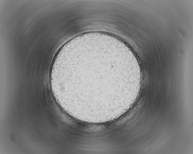 X0000111591513200908270957