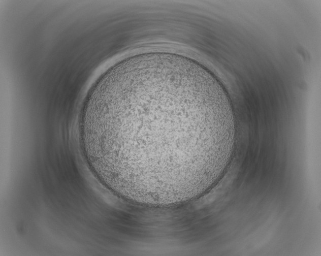 X0000111591514200908270957