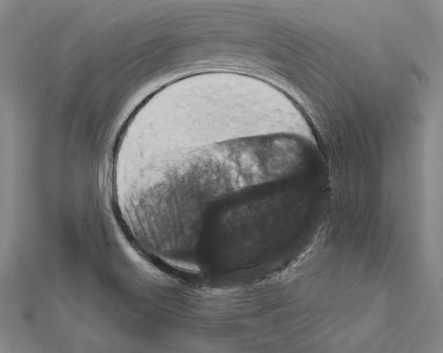 X0000111591515200908270957