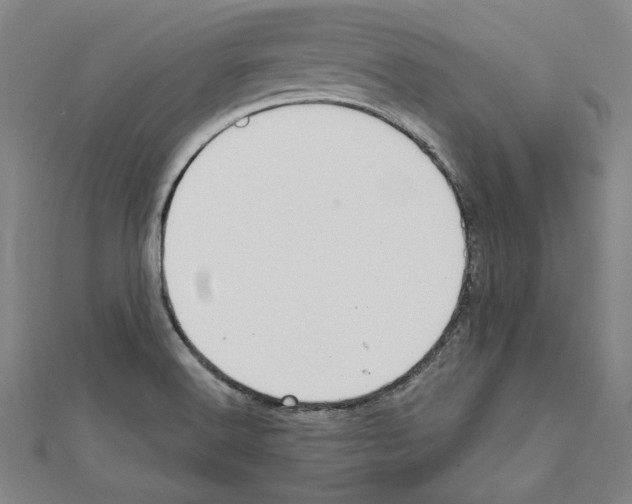 X0000111591516200908270957