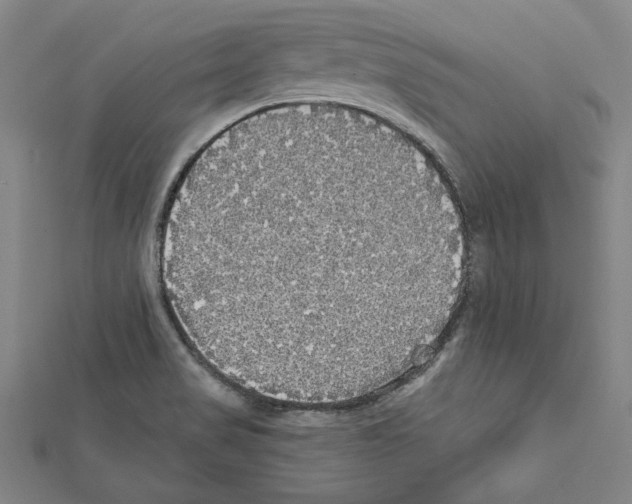 X0000111591517200908270957