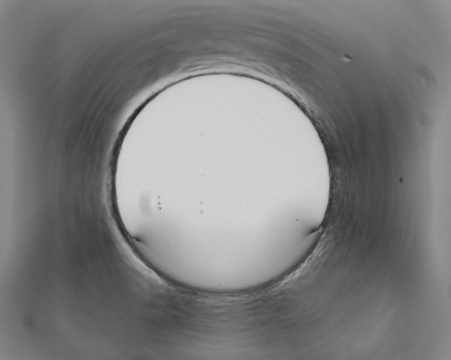 X0000111591518200908270957
