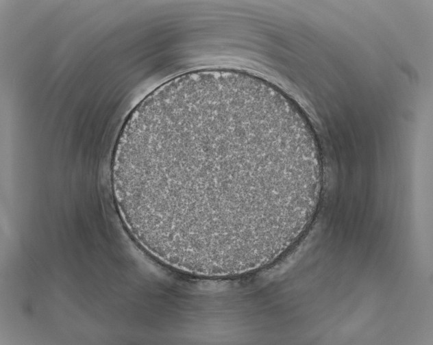 X0000111591521200908270957