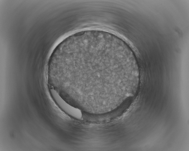 X0000111591522200908270957