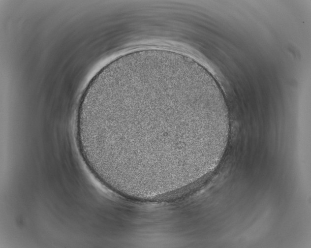 X0000111591523200908270957