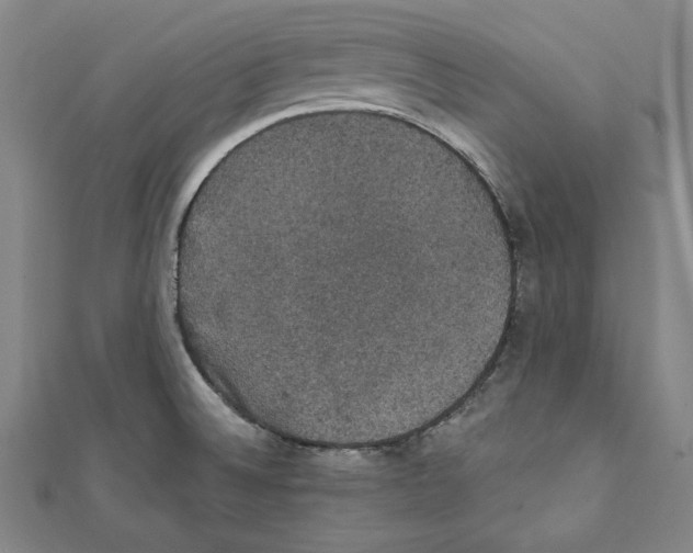 X0000111591524200908270957