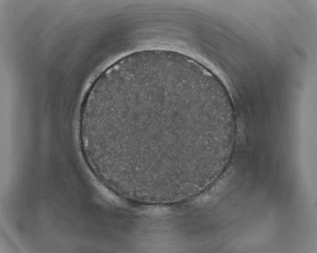 X0000111591525200908270958