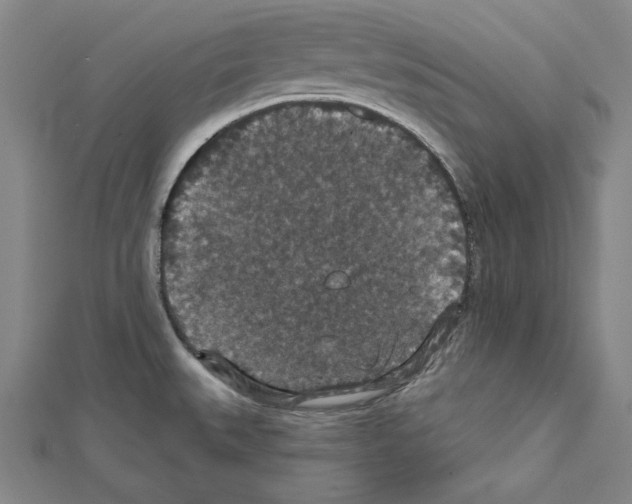 X0000111591527200908270958