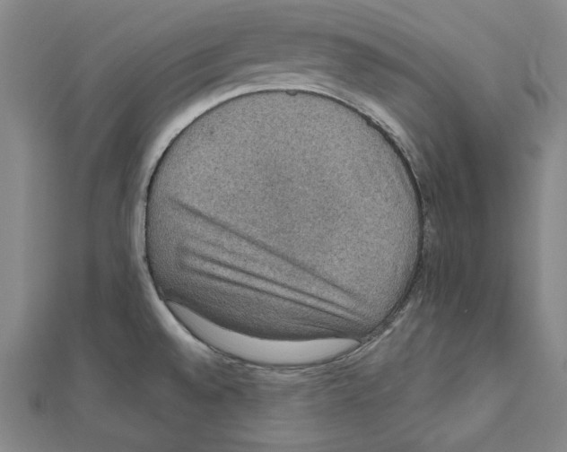 X0000111591528200908270958