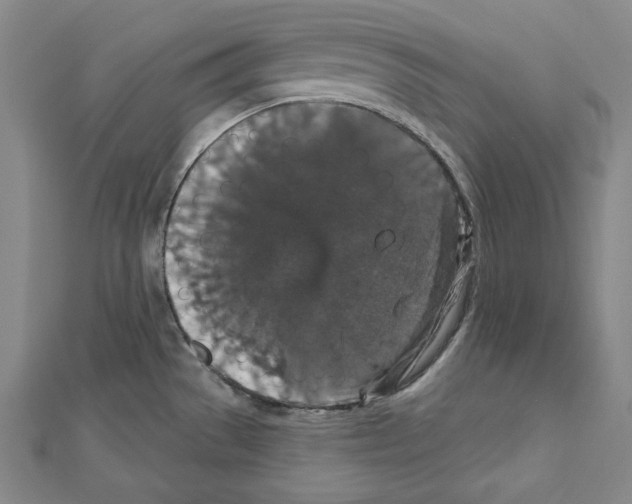 X0000111591529200908270958