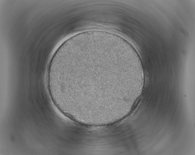 X0000111591531200908270958