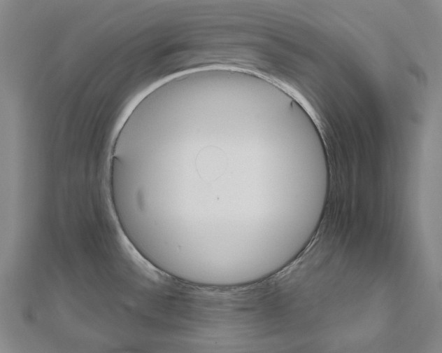 X0000111591532200908270958