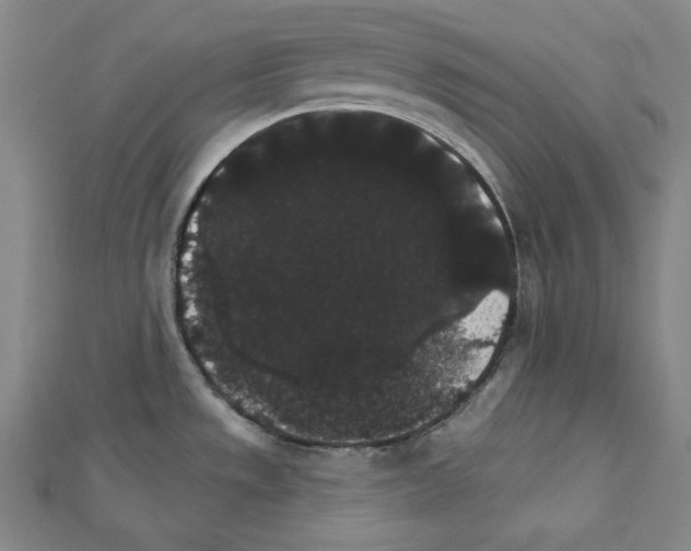 X0000111591533200908270958