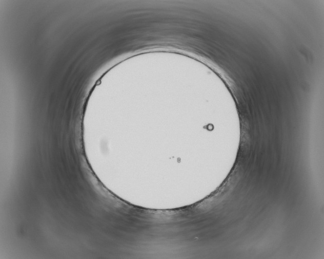 X0000111591534200908270958