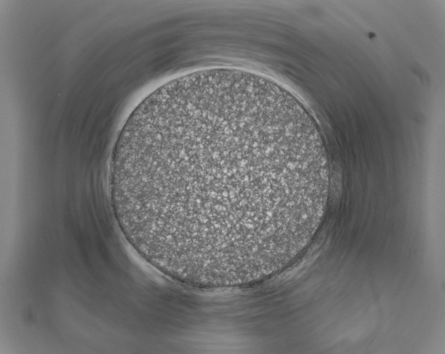 X0000111591535200908270958