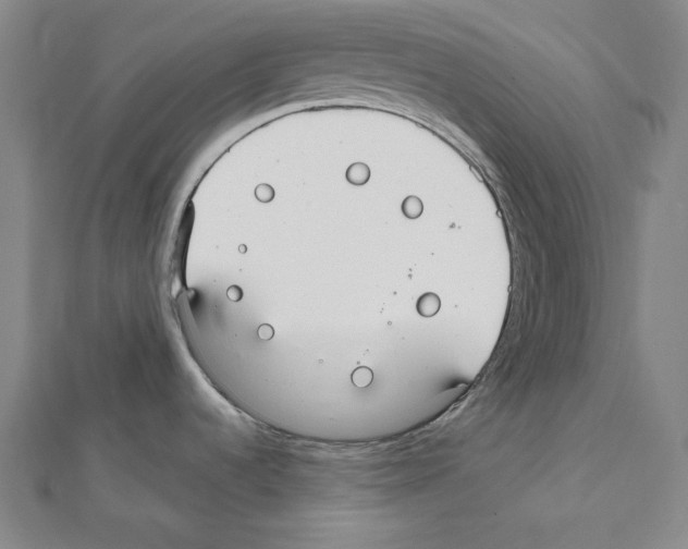X0000111591536200908270958