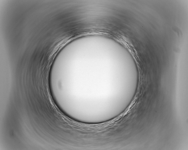X0000111600001200907161224