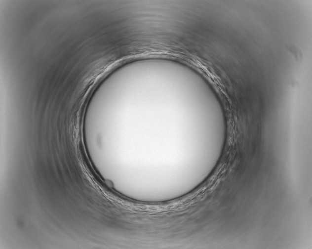 X0000111600002200907161224