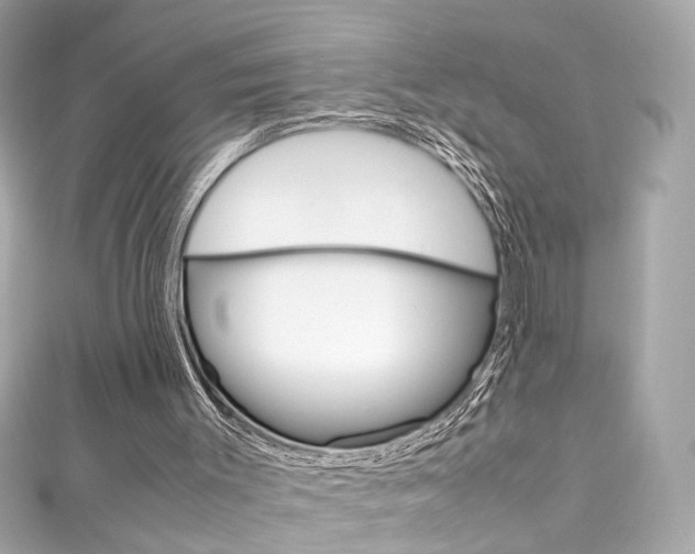 X0000111600003200907161224