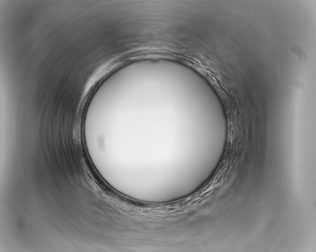 X0000111600004200907161224
