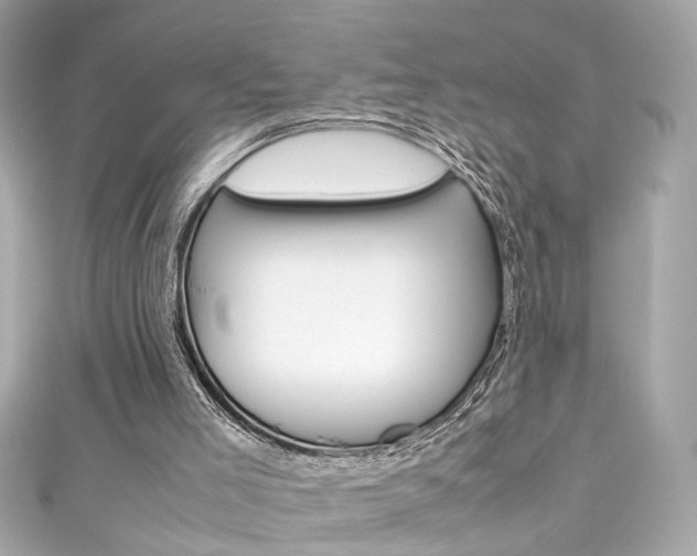 X0000111600005200907161224