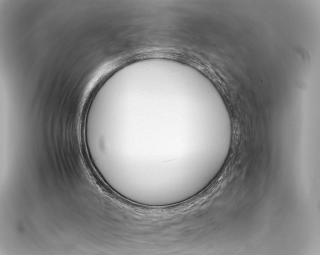X0000111600006200907161224