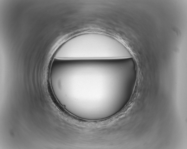 X0000111600007200907161224
