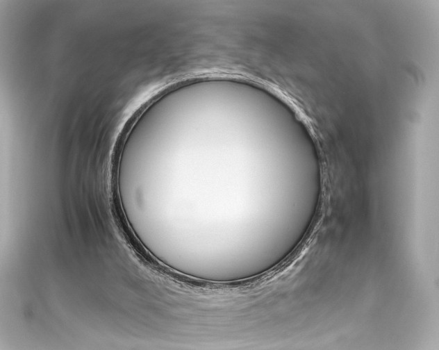 X0000111600008200907161224