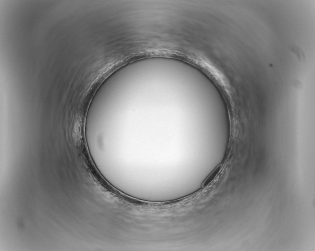 X0000111600009200907161224