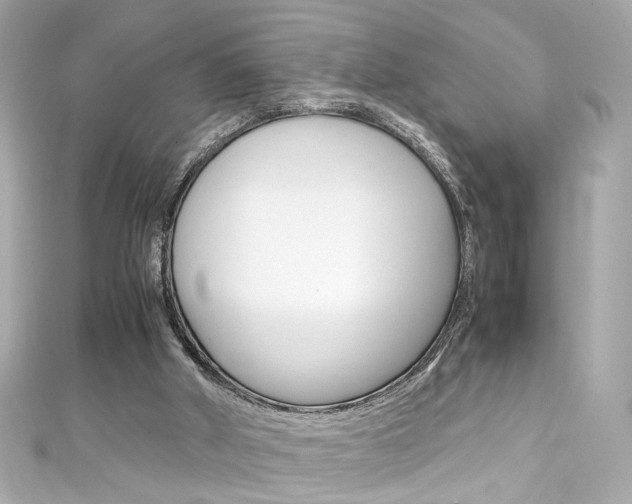 X0000111600010200907161224
