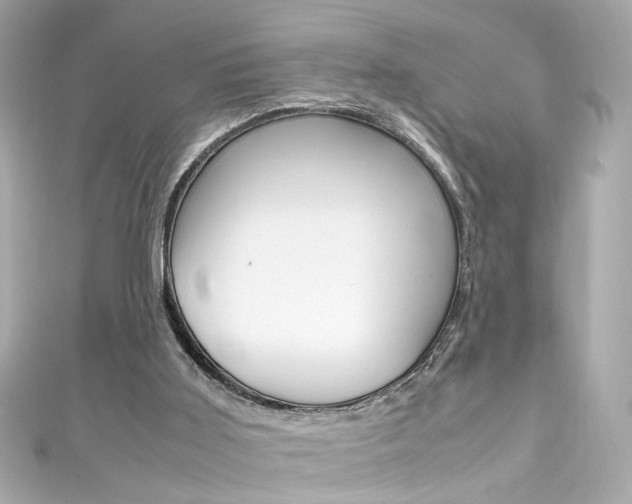 X0000111600011200907161224