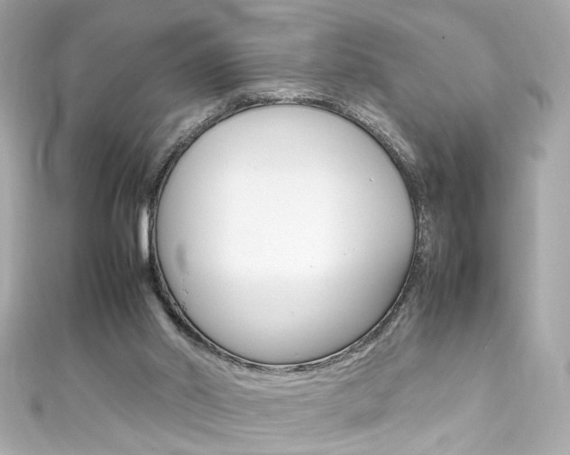 X0000111600014200907161224