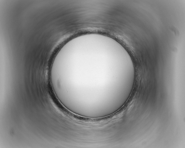 X0000111600016200907161224