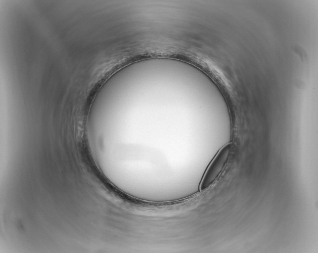 X0000111600017200907161224
